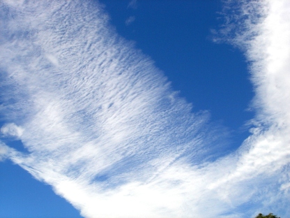 白い雲