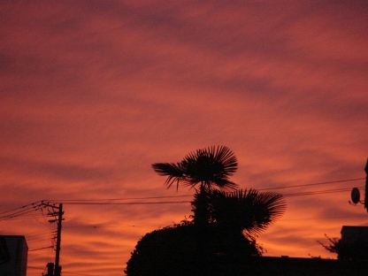 夕焼け