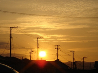 夕日