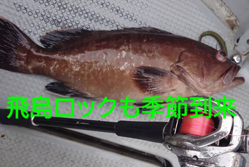 予約状況更新しました 予約状況更新しました