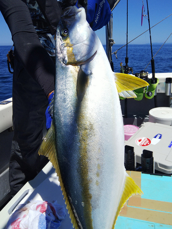 酒田 釣り船 黒ひげ 年05月