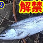 サクラマス動画 サクラマス動画
