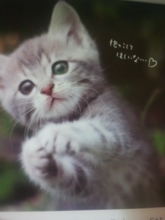 蜜木ちゃん卒業!