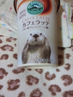 セブンズは何だった?