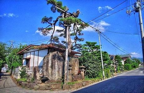 ◇第110話◇研究所を探しだせ!