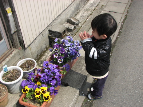 お散歩