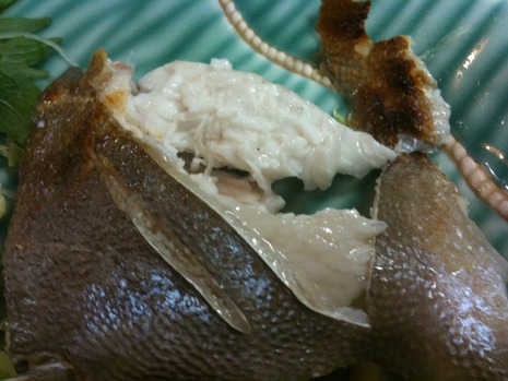 豪華料理!!