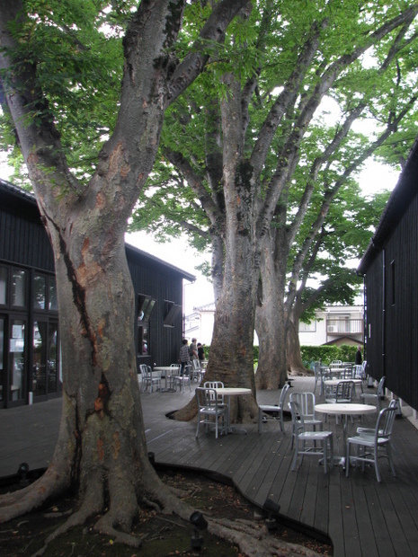 山居倉庫