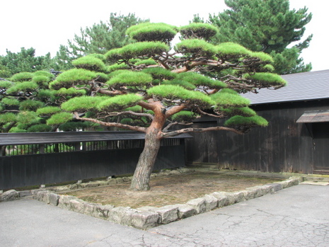 山居倉庫