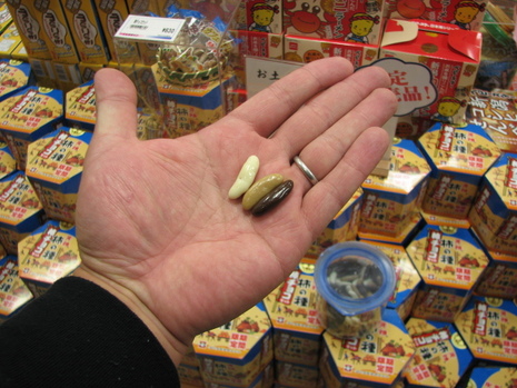 新潟旅行記-柿の種