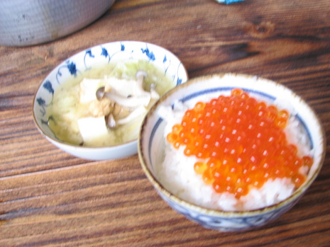 はららご飯を食らう会