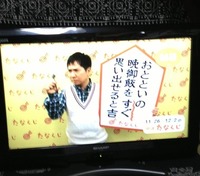 今週のたなクジ