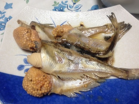 鰰の時期