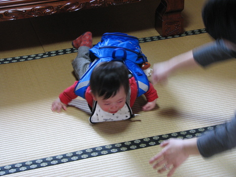 続・1歳になりました。
