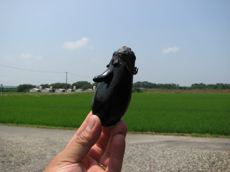 おもしろナス