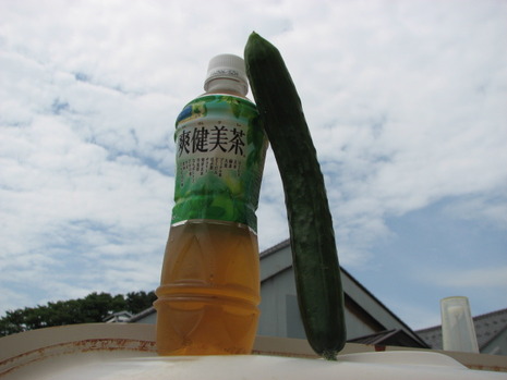 ゆざ街かどサロン