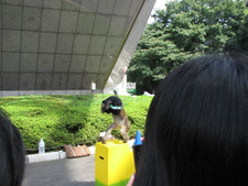 東京一人旅、時々二人…8
