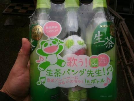 生茶パンダ先生