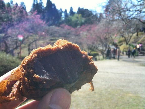 梅林公園
