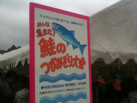 第16回 鮭のつかみどり大会