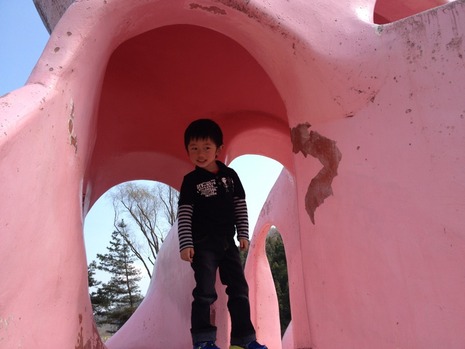 公園のハシゴ