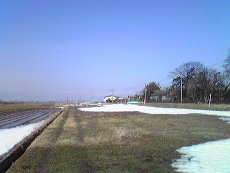 帰りたい病