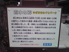 遊水の郷 ふたたび