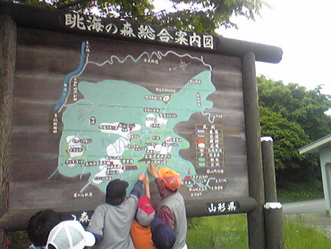 続・眺海の森