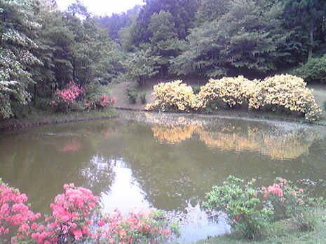 続・眺海の森