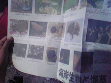 宿泊体験、支援