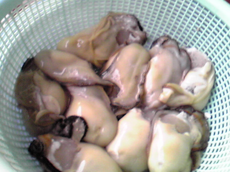 岩牡蠣