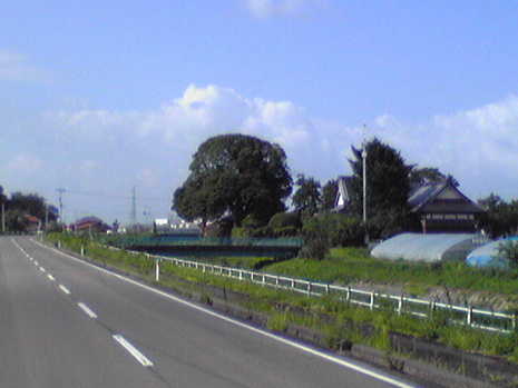 ナニコレ珍百景?