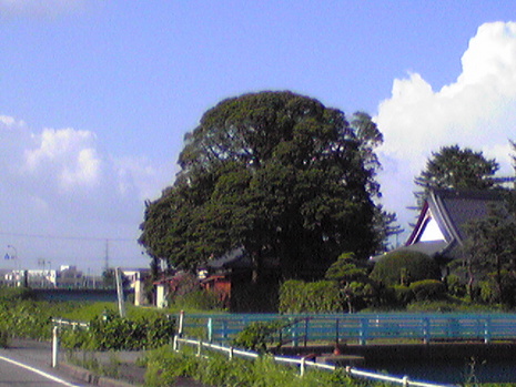 ナニコレ珍百景?
