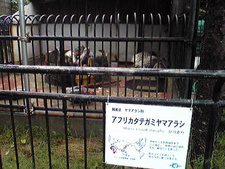 大森山動物園