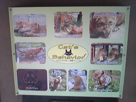 大森山動物園