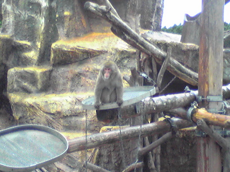 大森山動物園