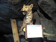 大森山動物園