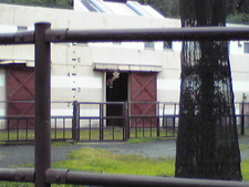大森山動物園