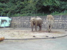 大森山動物園