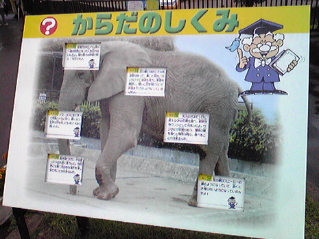 大森山動物園