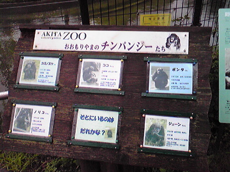 続・大森山動物園