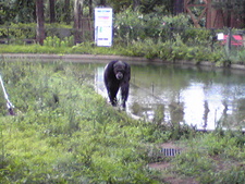 続・大森山動物園