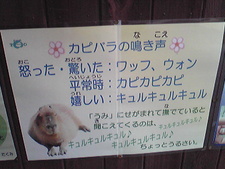 続・大森山動物園