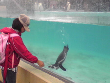 続・大森山動物園