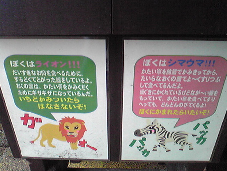 ほねほねロック