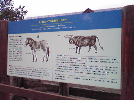 続・大森山動物園