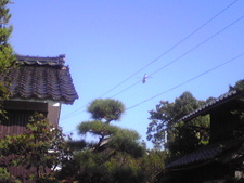 防災訓練