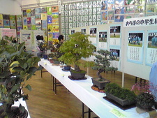 蕨岡公民館まつり