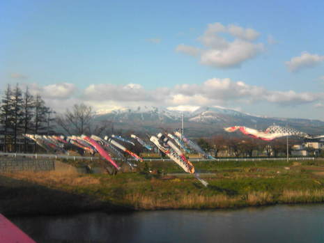 泳いでます…(^-^)v
