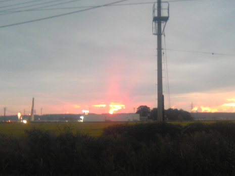 今日の夕方